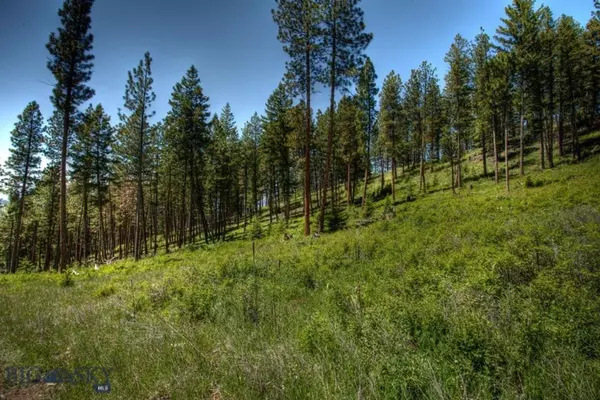 Florence, MT 59833,Bitterroot Overlook on Eight Mile Creek