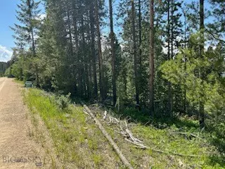 Anaconda, MT 59711,TBD Fire LN