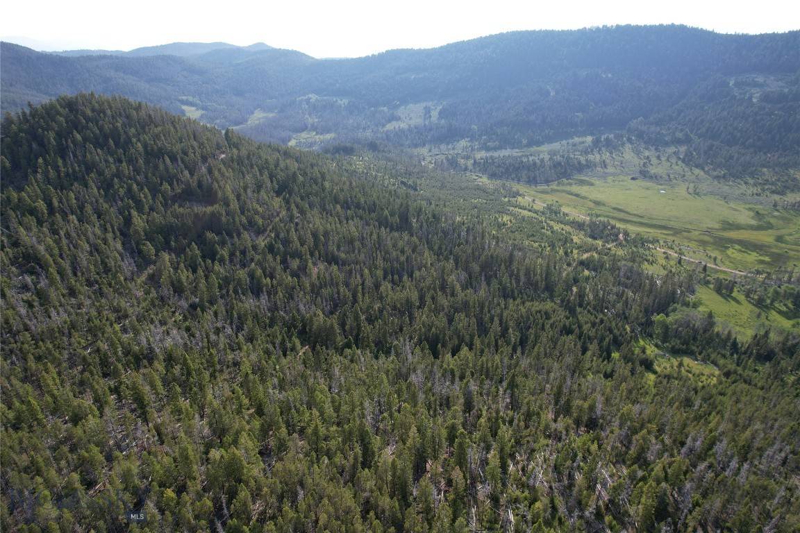 Rocker, MT 59701,NHN Flume Gulch