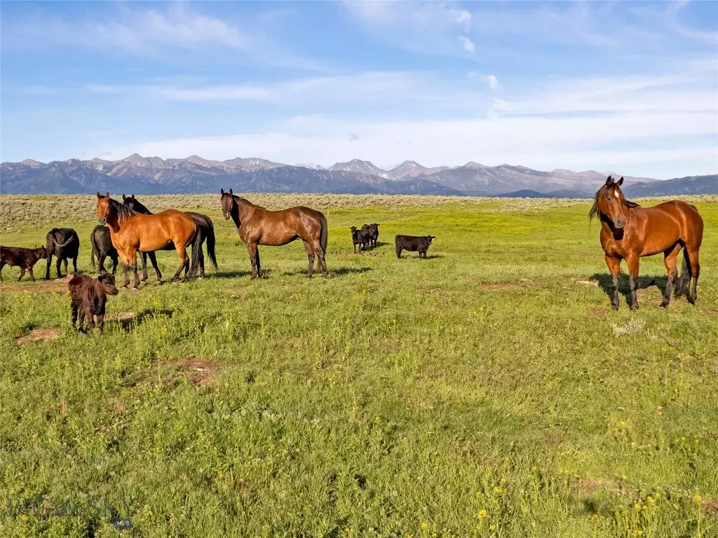 Wilsall, MT 59086,TBD Elk Creek RD