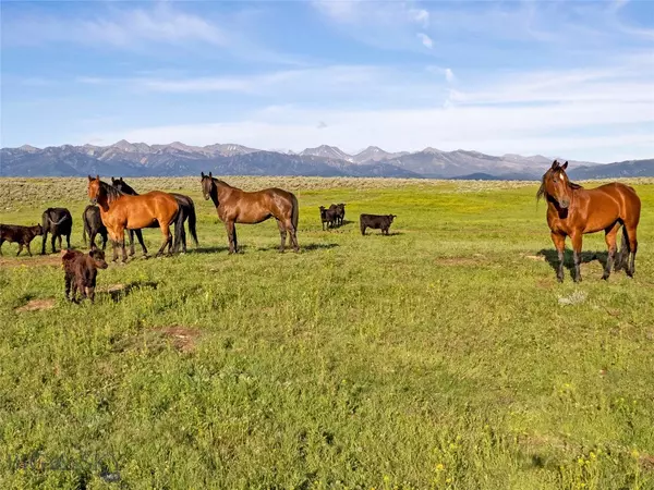 TBD Elk Creek RD, Wilsall, MT 59086