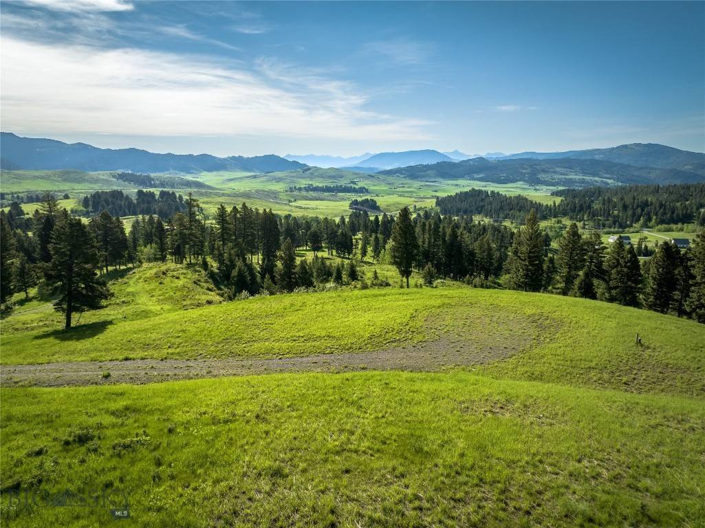 Bozeman, MT 59715,Parcel 9 North Pass Ranch
