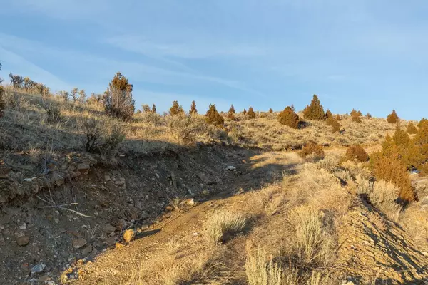 Alder, MT 59710,Parcel 1 Water Gulch