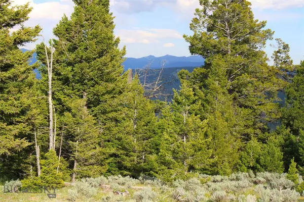 Big  Sky, MT 59716,TBD Wilderness Ridge TRL