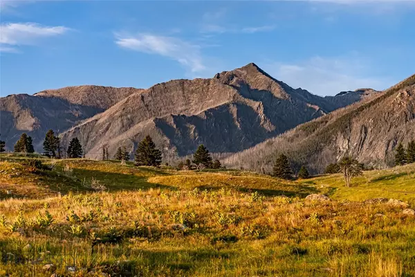 Livingston, MT 59047,TBD Pine Creek (Luccock Park Rd)