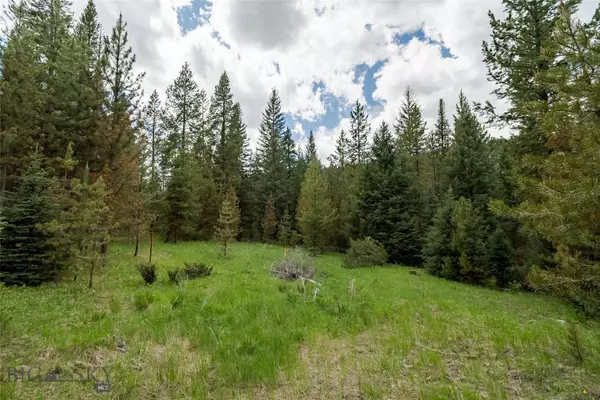 Gallatin  Gateway, MT 59730,Lot 25 Colters Run LOOP