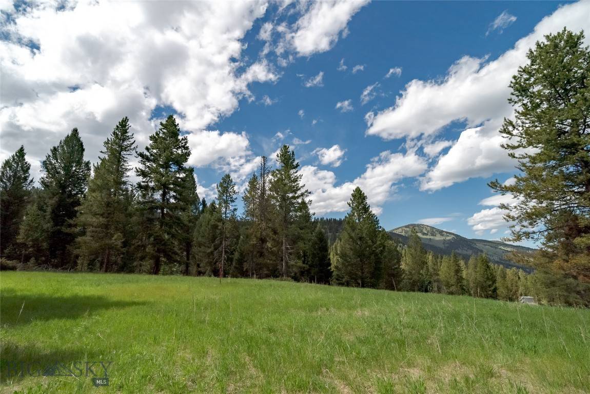 Gallatin  Gateway, MT 59730,Lot 19 Colters Run LOOP