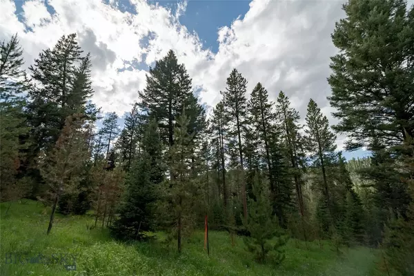 Gallatin  Gateway, MT 59730,Lot 30 Colters Run LOOP