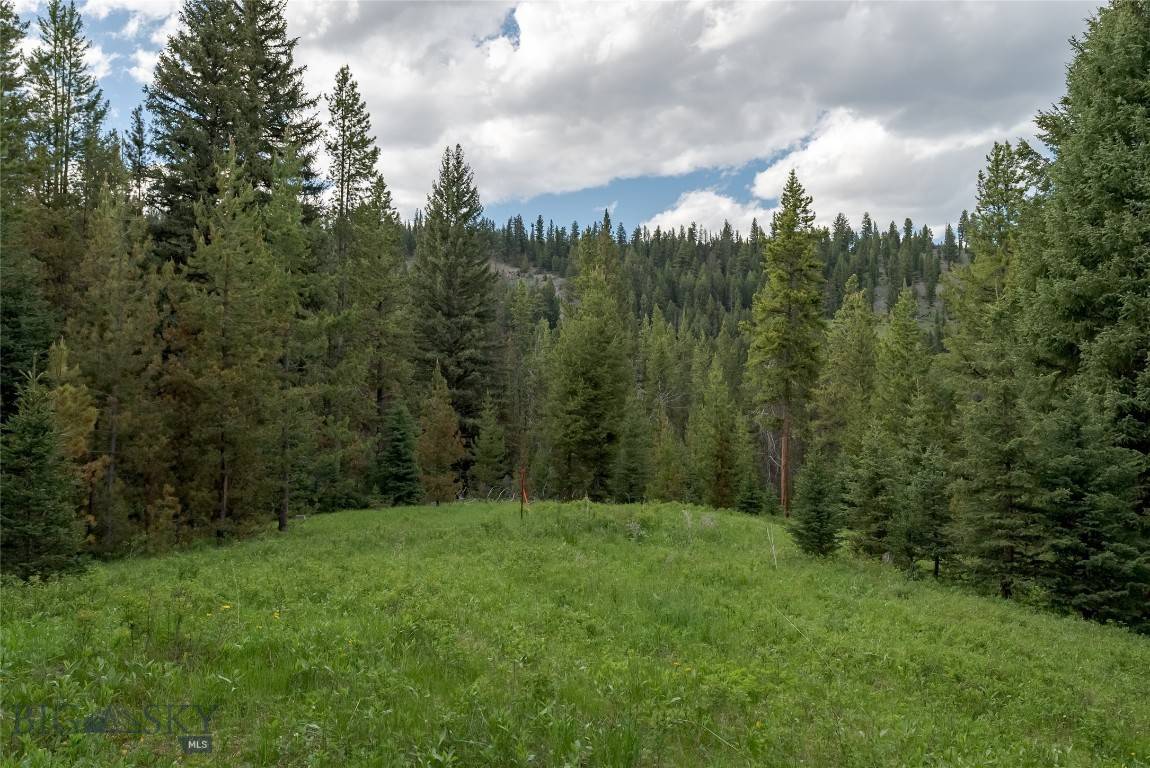 Gallatin  Gateway, MT 59730,Lot 32 Colter Run LOOP