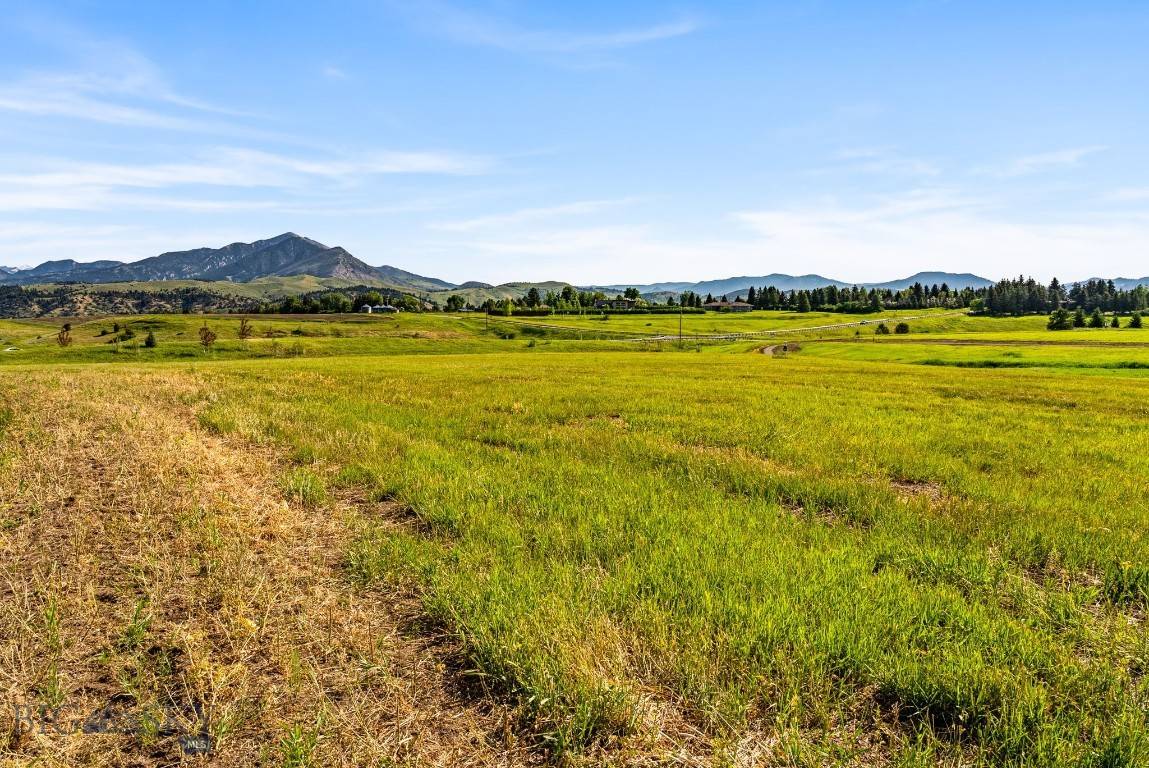 Bozeman, MT 59718,TBD Lot 33 Boreal WAY
