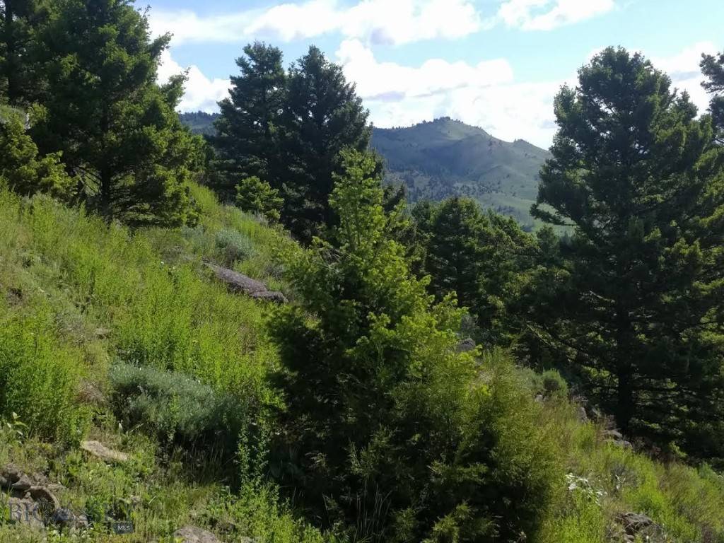 Livingston, MT 59047,Lot 4 Sunflower LN