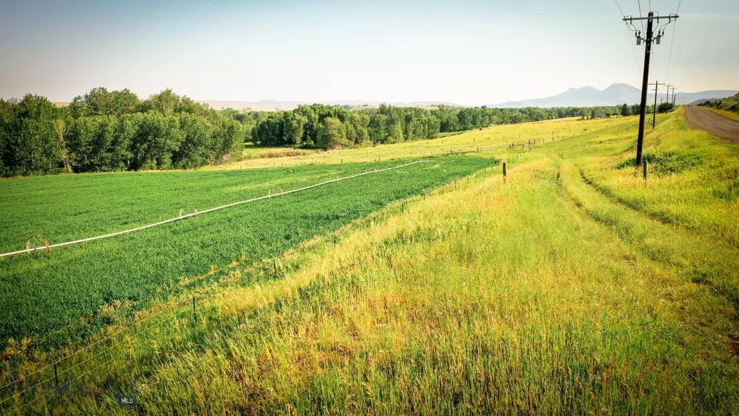 NHN Shields River RD, Wilsall, MT 59086