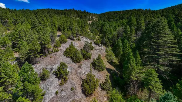 Three  Forks, MT 59752,443 Cloud House RD
