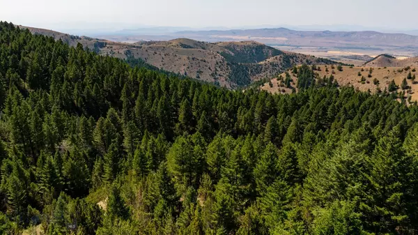 Three  Forks, MT 59752,443 Cloud House RD