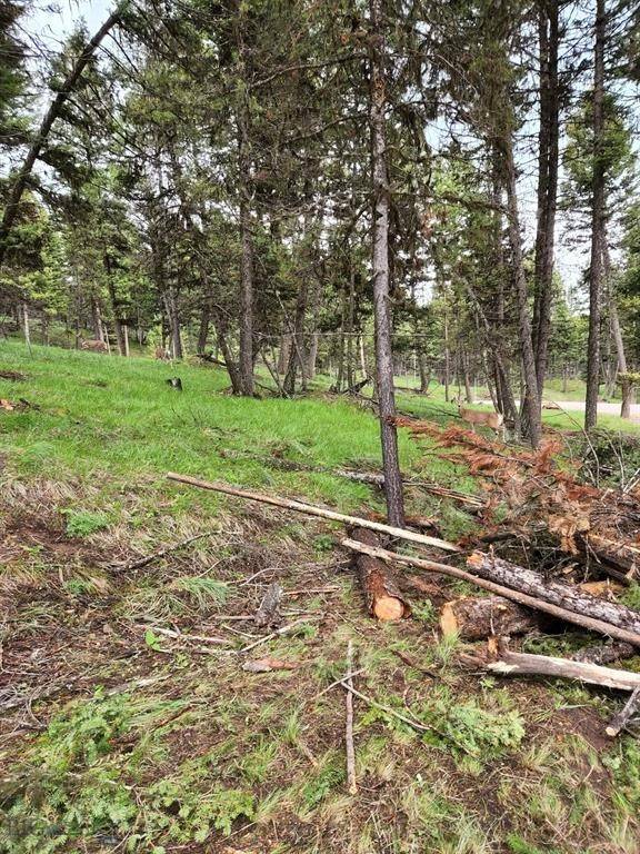 Seeley  Lake, MT 59868,349 Seclusion