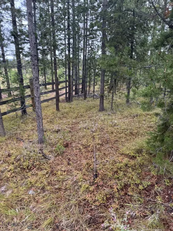 Anaconda, MT 59711,TBD Mountain View Estates lot 8