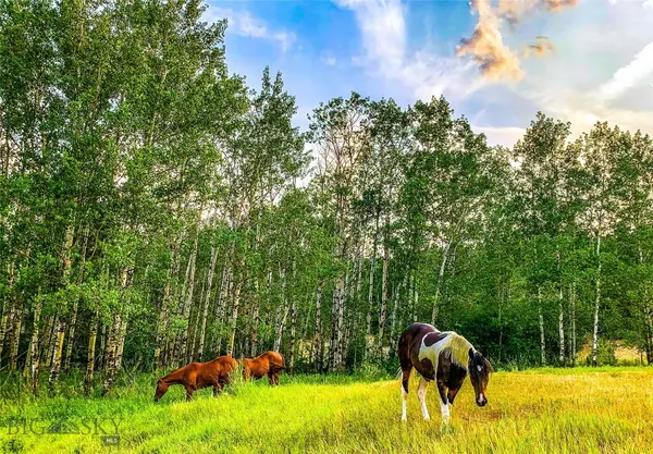 Butte, MT 59750,116115 S Buxton