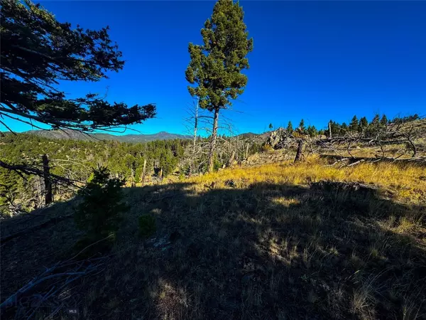 Boulder, MT 59632,NHN Bishop Creek Road