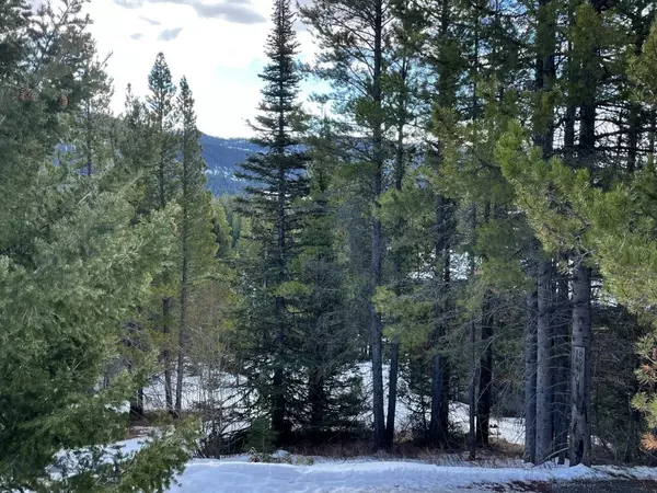 Bozeman, MT 59715,Lot 9A-1 Wedeln DR