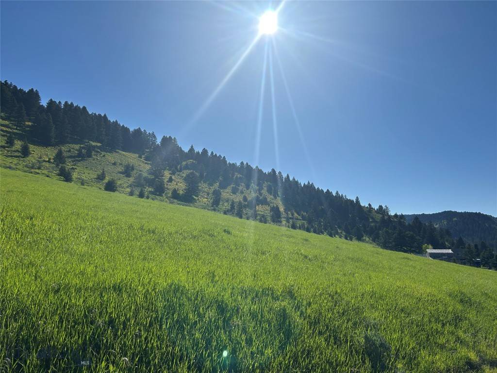 Bozeman, MT 59715,000 Chestnut RD