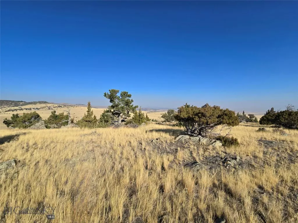Ennis, MT 59729,Lot 84 Blaine Spring TRL