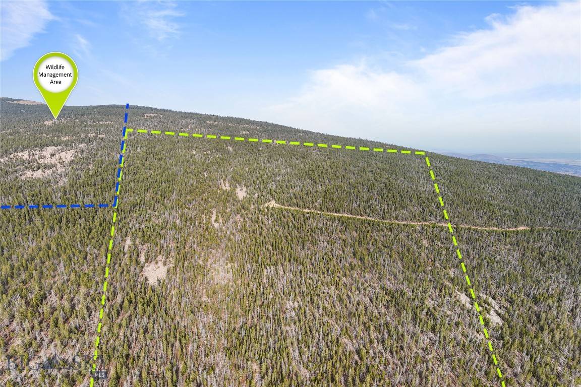 TBD Rosa Trl, Anaconda, MT 59711