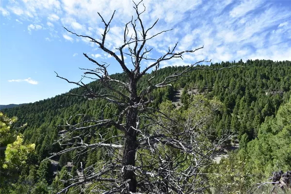 Butte, MT 59701,TBD Meadow Gulch RD