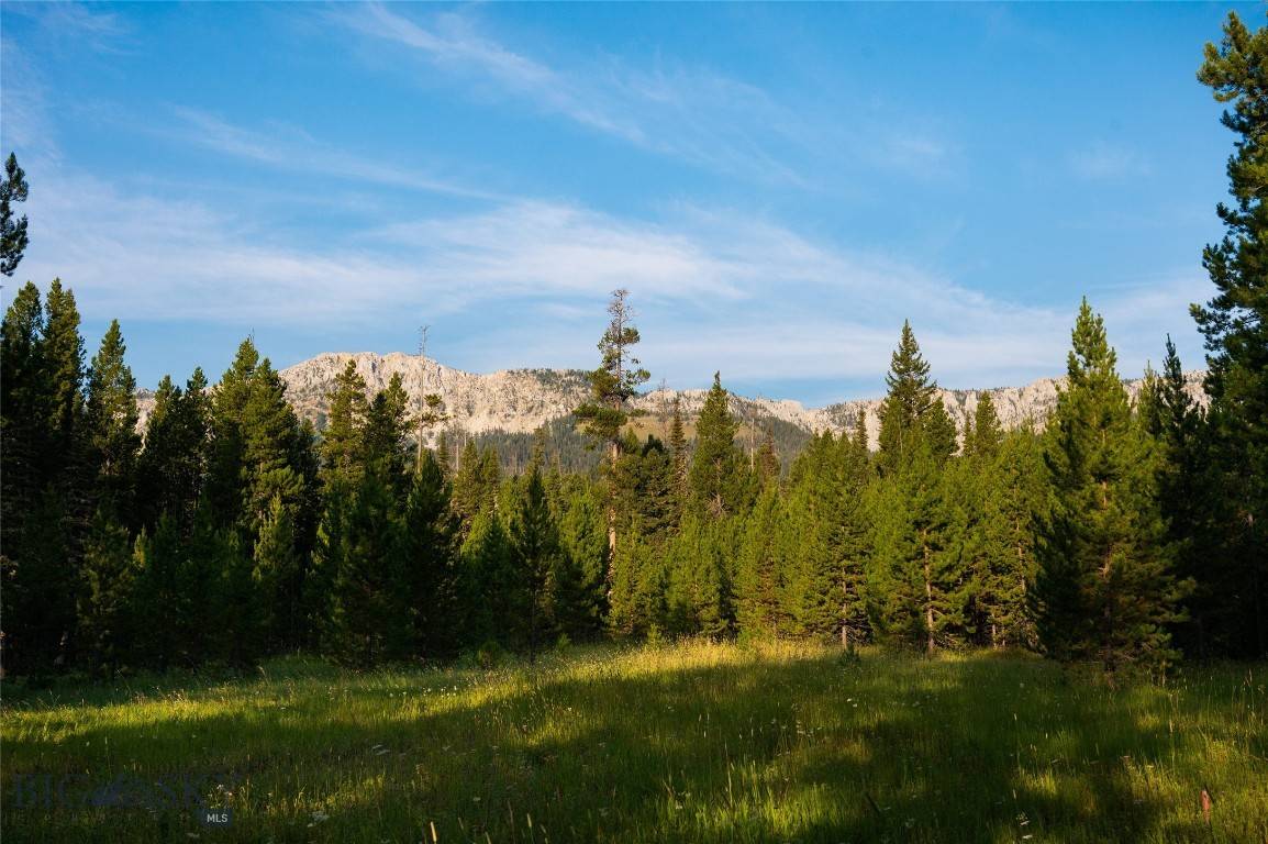 Bozeman, MT 59715,107 Winter Lane