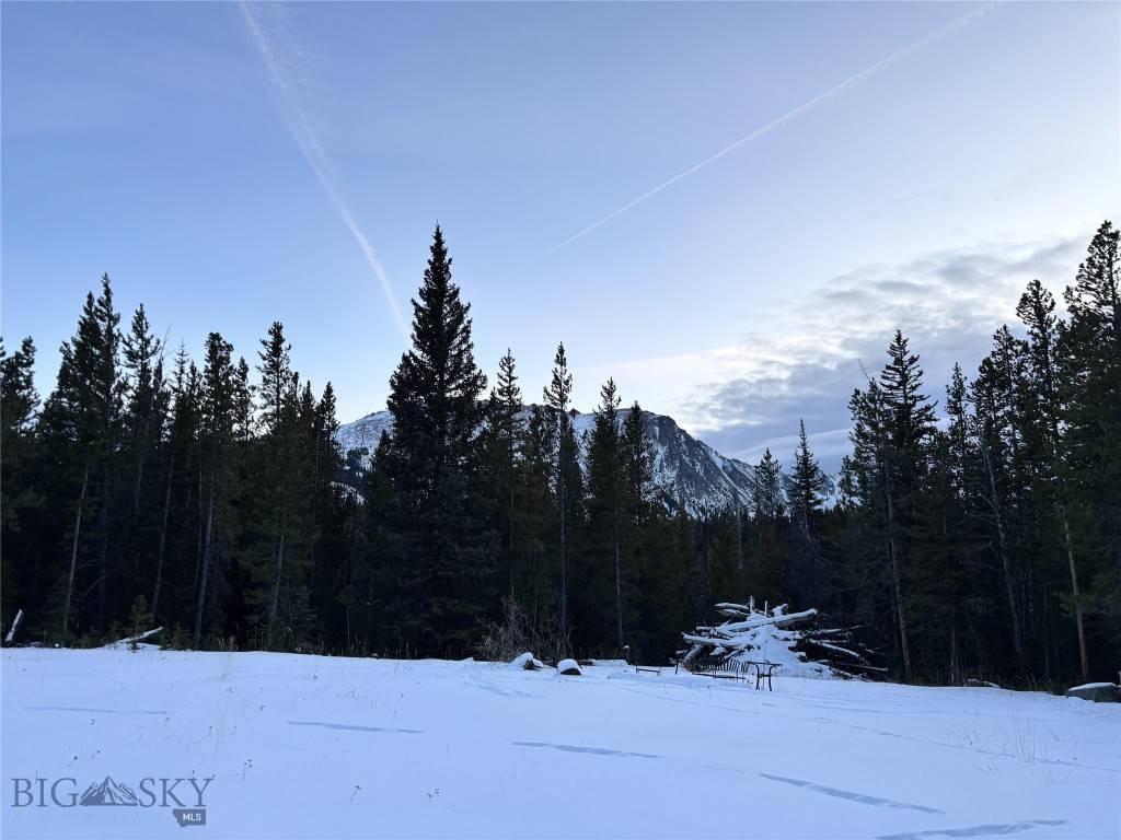 Melrose, MT 59743,TBD Trapper Creek Road