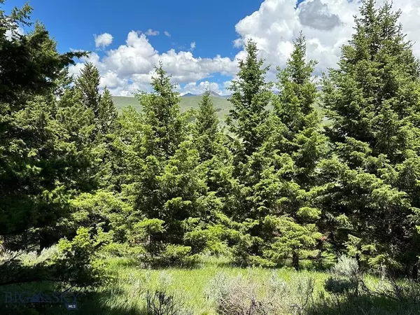 Cameron, MT 59720,Lot 17 Sun West Ranch Rd.