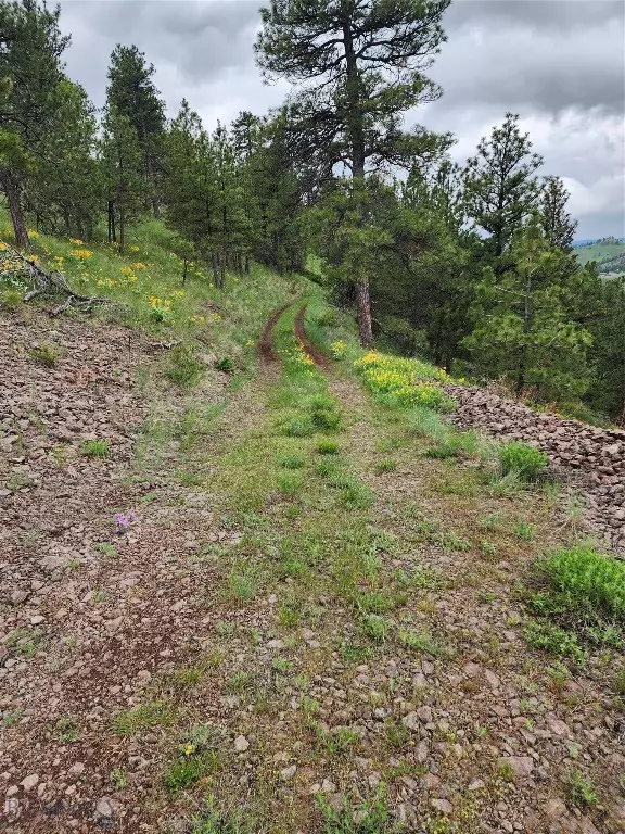 Cascade, MT 59421,NHN Lightning Ridge LN