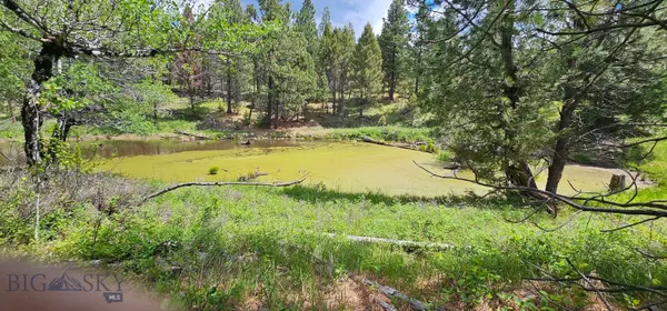 12 Tract, Hall Creek, Helmville, MT 59834