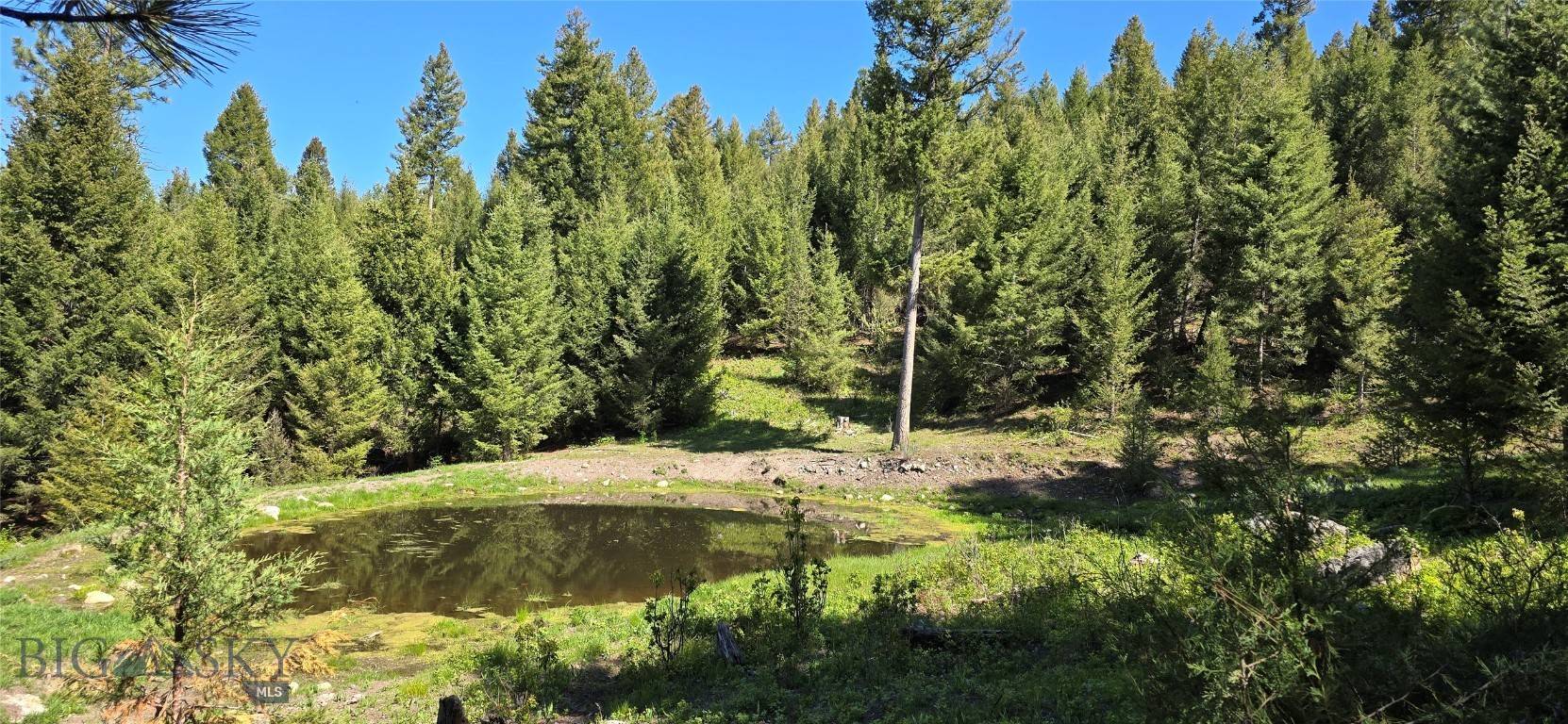 4 Tract, Bull Elk, Drummond, MT 59832