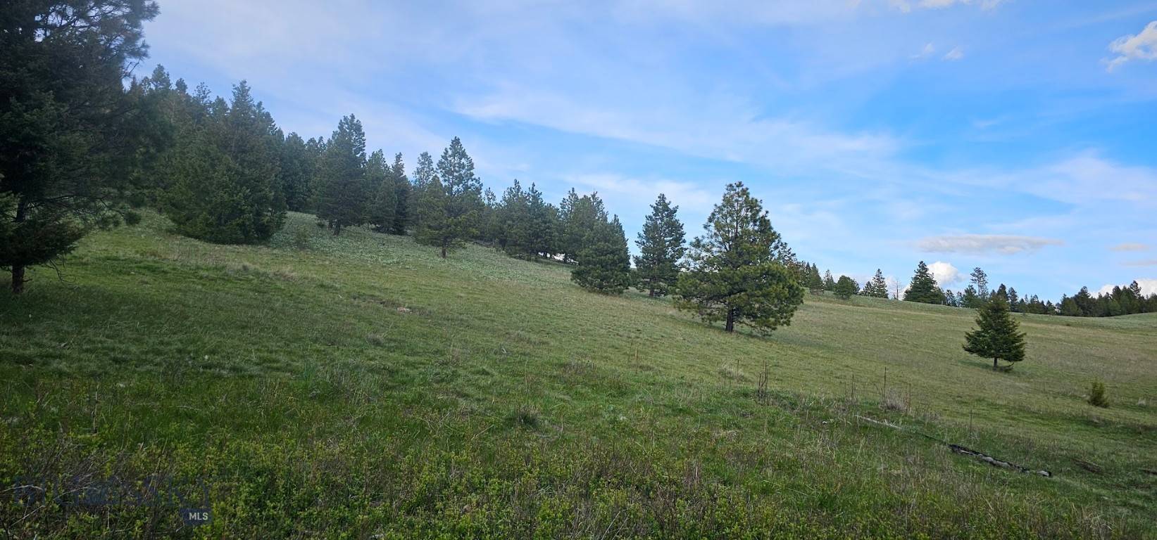 6 Tract, Bull Elk, Drummond, MT 59832