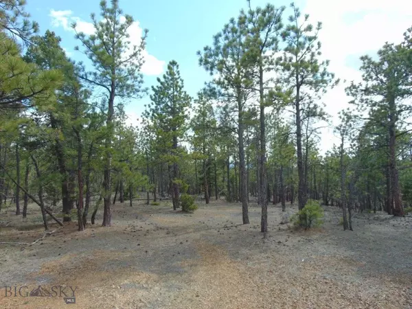 Helena, MT 59602,29 Sweetwater Rd