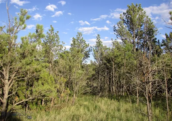 Roundup, MT 59072,tbd Echo AVE E #Lot-23A