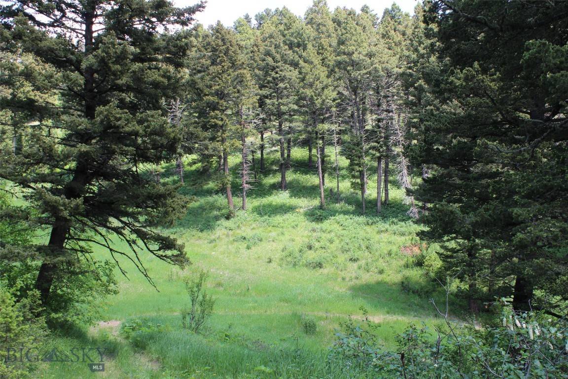 Bozeman, MT 59715,14815 Pony Creek