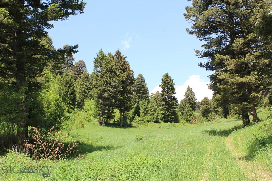 14815 Pony Creek, Bozeman, MT 59715