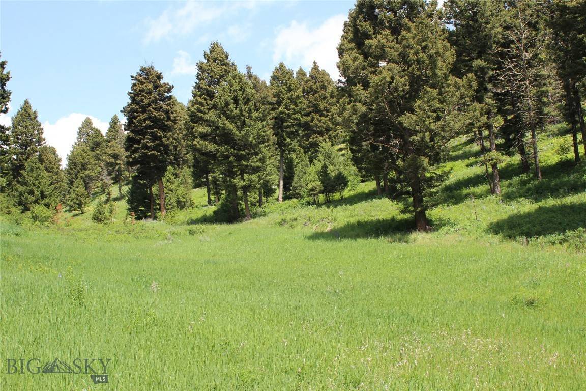 Bozeman, MT 59715,14815 Pony Creek
