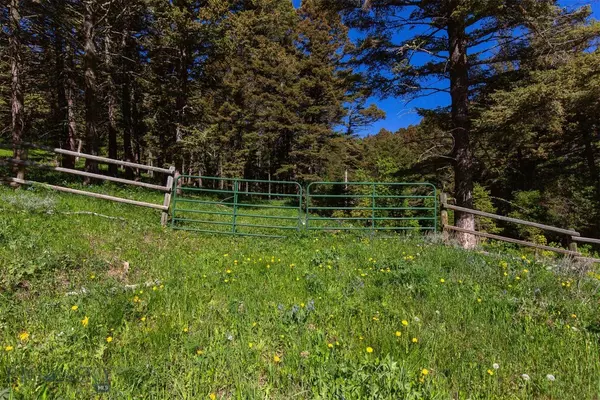 White  Sulphur  Springs, MT 59645,169 Grassy Mountain RD