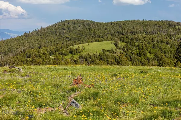 Drummond, MT 59832,10 Garnet Range Tract
