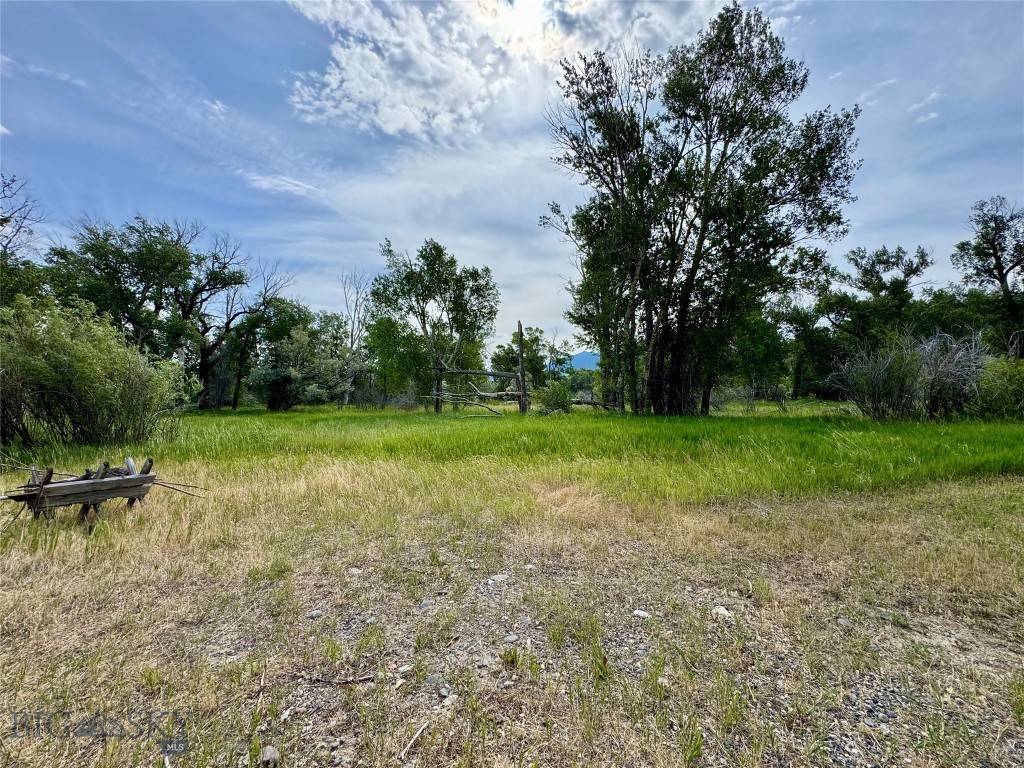 Livingston, MT 59047,42 Strong Ln