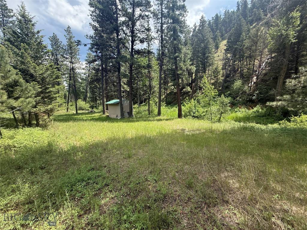 Wolf  Creek, MT 59648,NHN Little Wolf Creek Road