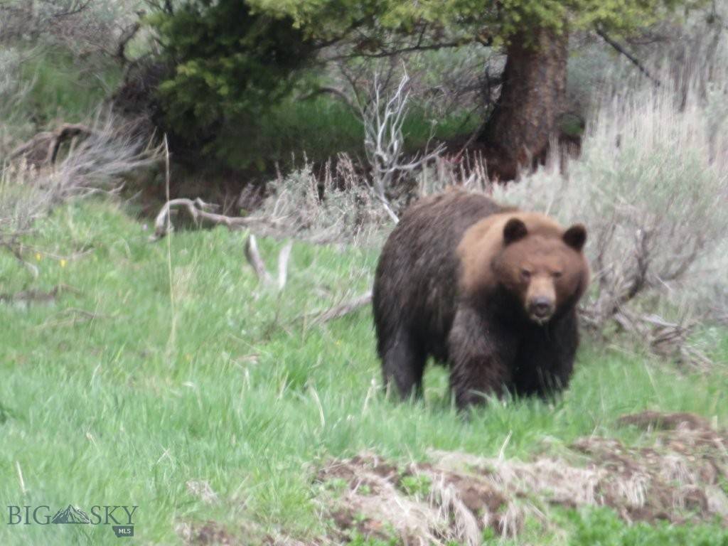 Melrose, MT 59742,2544 North Camp Creek RD