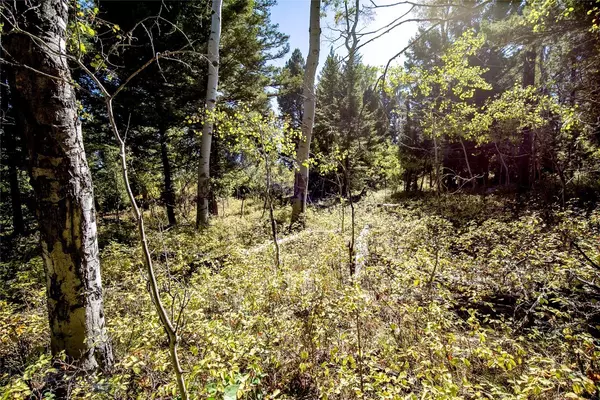 Cameron, MT 59720,Sun West Ranch Lot 10A