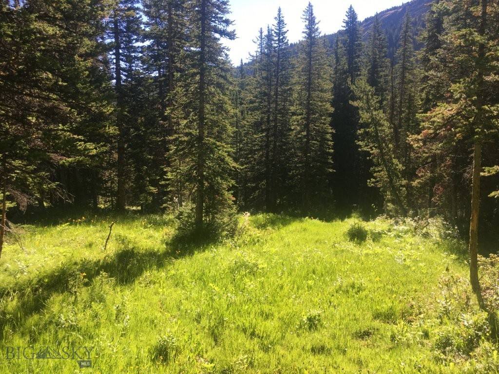 Melrose, MT 59743,TBD Trapper Creek RD