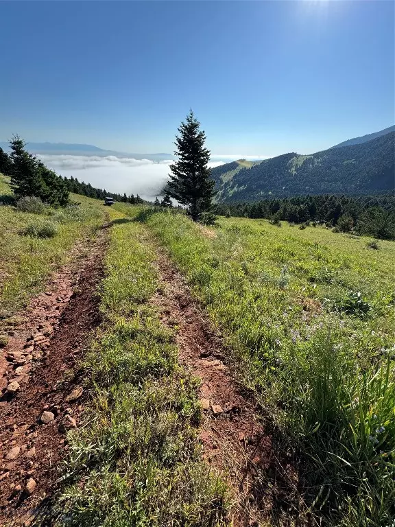 Livingston, MT 59047,NHN Coyote (lot 57) DR