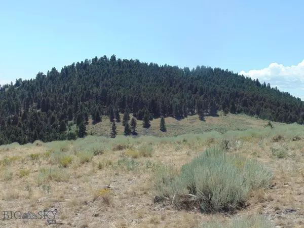 Townsend, MT 59644,TBD Badger Creek RD