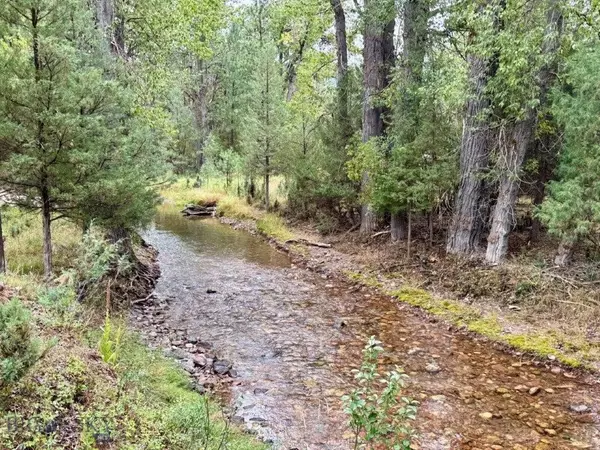 Seeley Lake, MT 59868,275 Rainbow CT