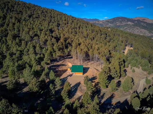 Jefferson City, MT 59638,94 Wildlife